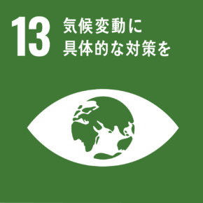 SDGs13のアイコン